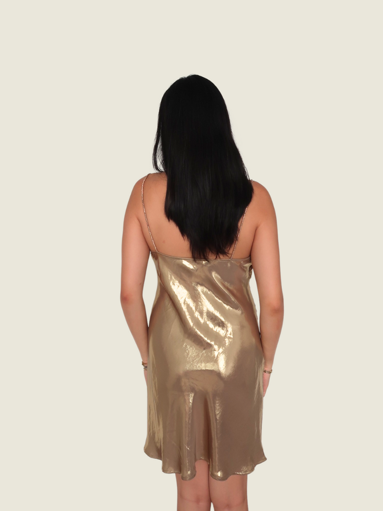 Zara Gold Dress