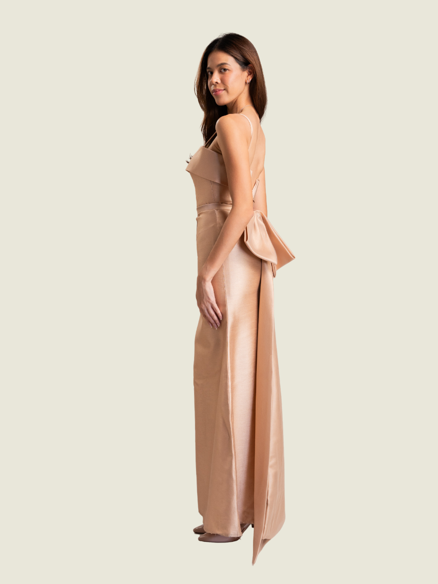 Teena Sabrina Pink Gown