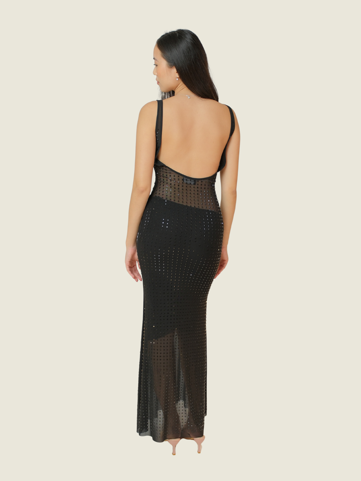 Danielle Morena Black Sheer maxi dress