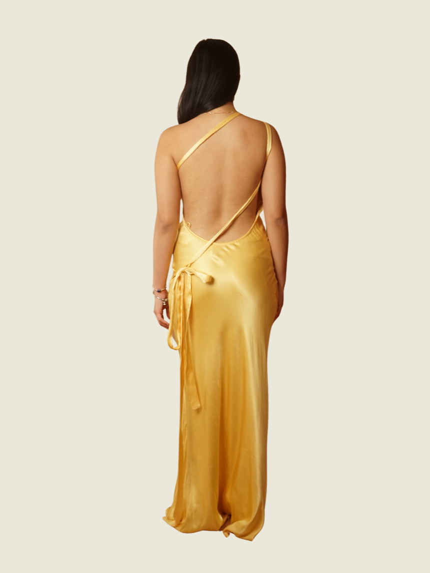 Arcina Ori Monique Dress