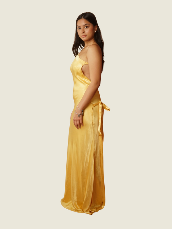 Arcina Ori Monique Dress