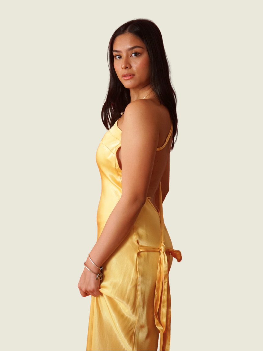 Arcina Ori Monique Dress
