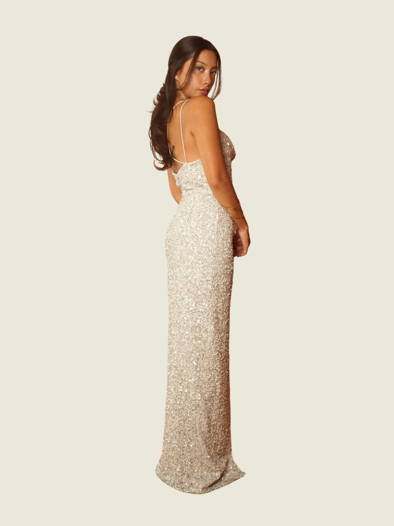 Ever New Silver Sequin Dress