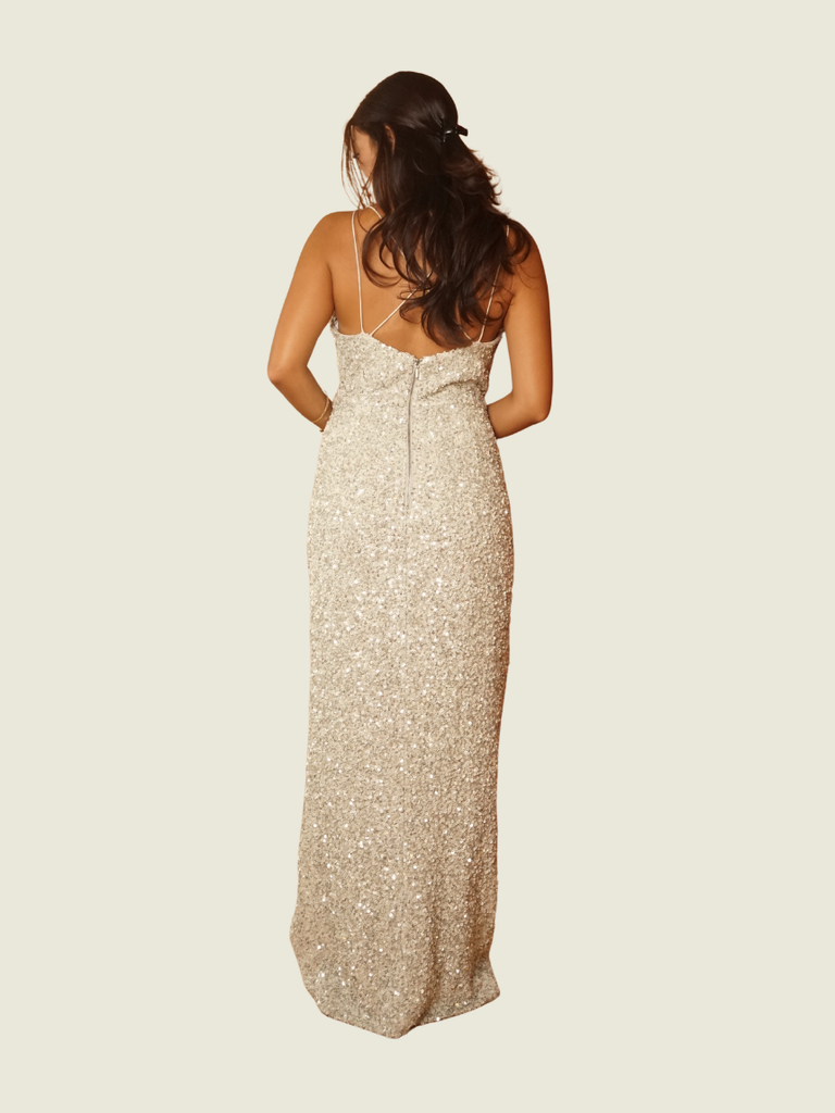 Ever New Silver Sequin Dress