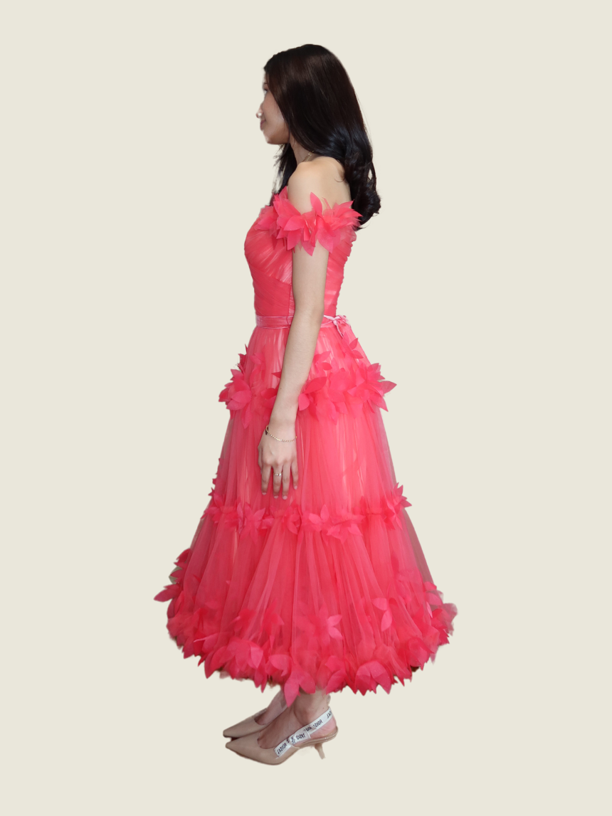 Kariz Polintan Pink Tulle Dress