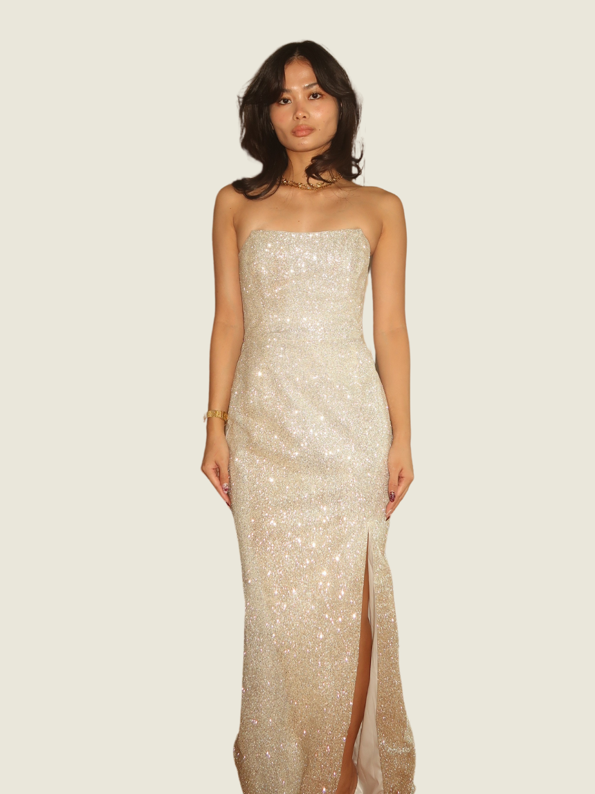 Meshki Silver Gown