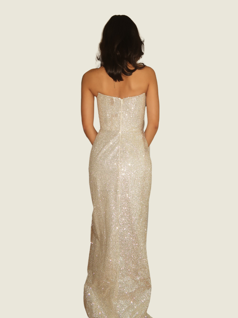Meshki Silver Gown