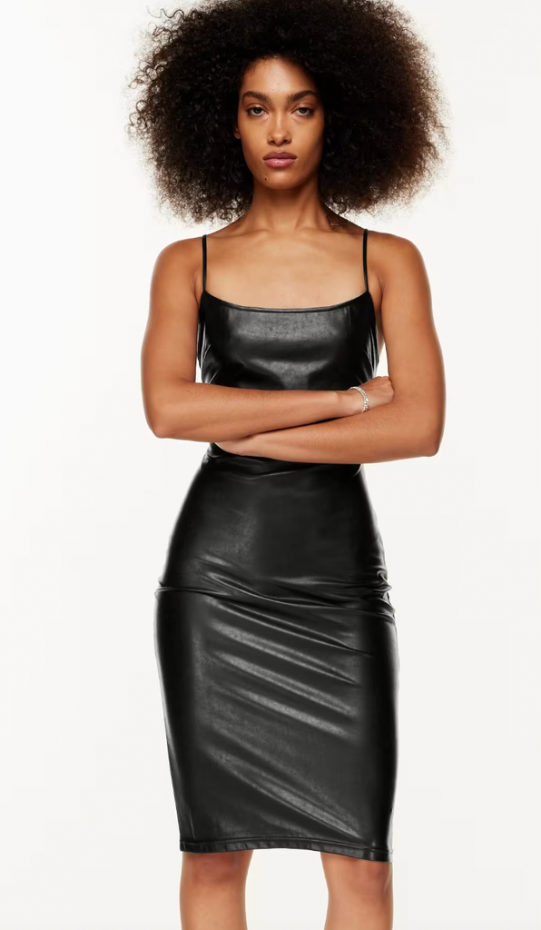 Aritzia Backstory Dress