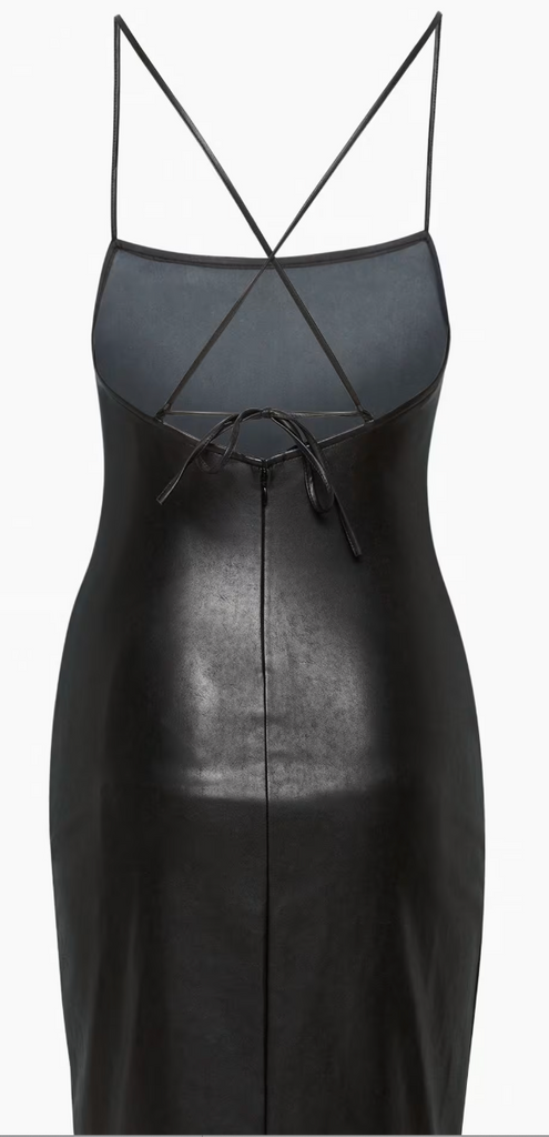 Aritzia Backstory Dress