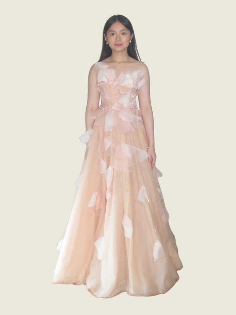 Vee Tan Custom Pastel Pink Ball Gown