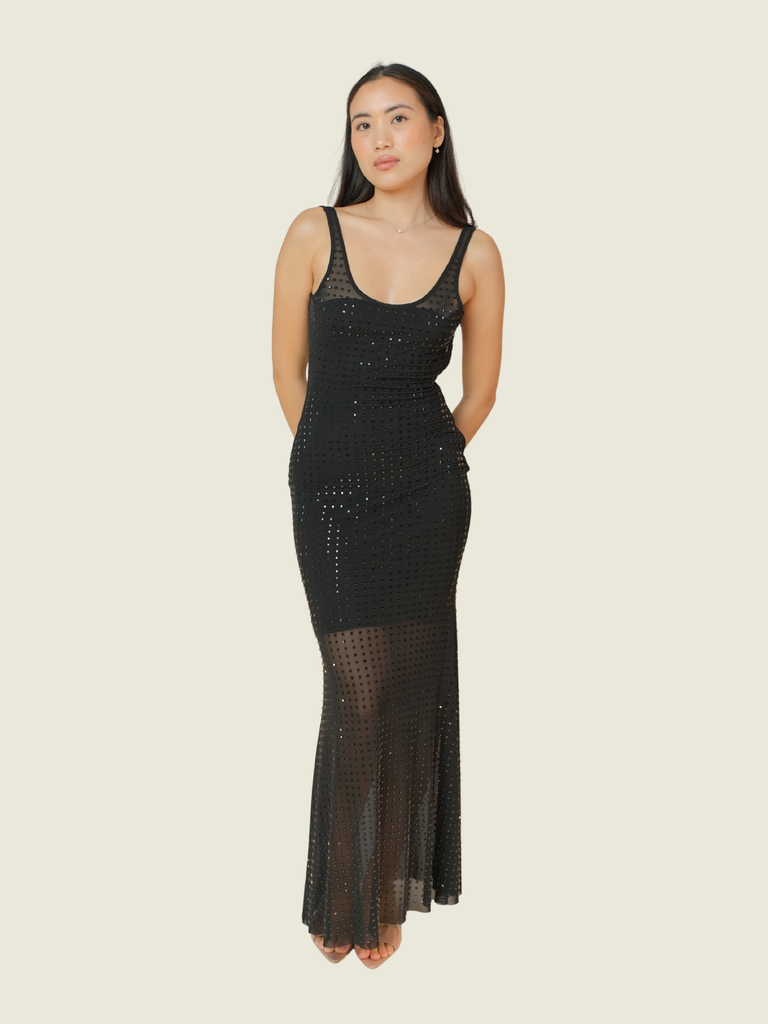 Danielle Morena Black Sheer maxi dress