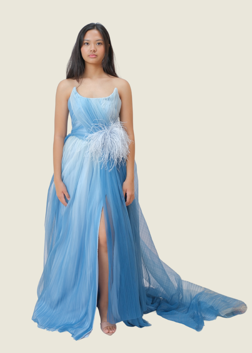 Patty Ang Custom Blue Gown