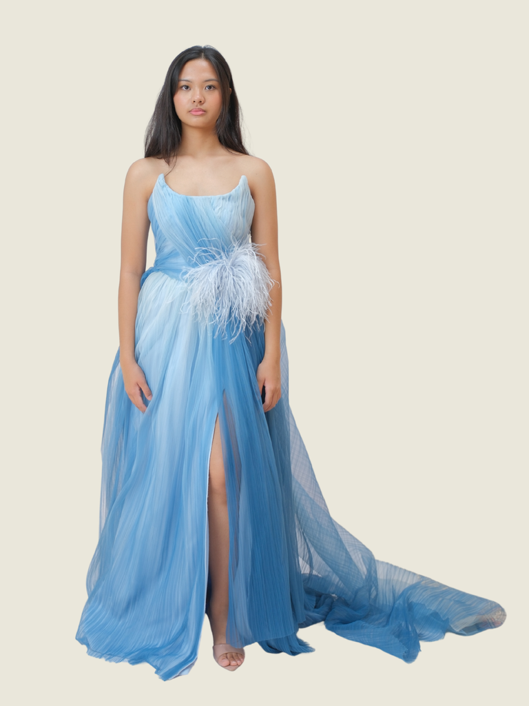 Patty Ang Custom Blue Gown