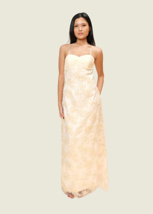 Punchita Embellished Dress