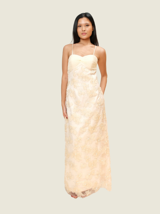 Punchita Embellished Dress