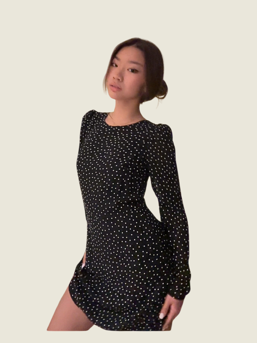 Reformation Polka Dot Long Sleeve Dress