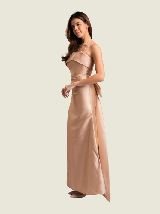 Teena Sabrina Pink Gown