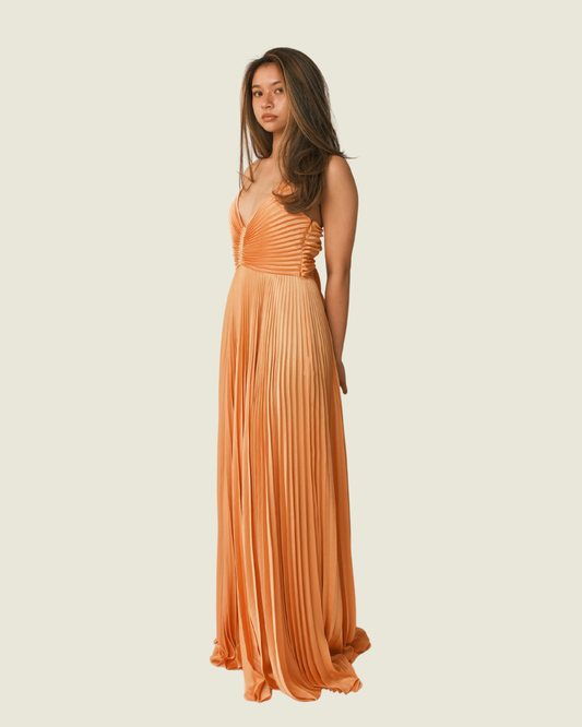 ALC Mandarin Orange Maxi Dress