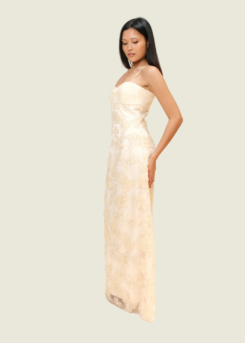 Punchita Embellished Dress hover image