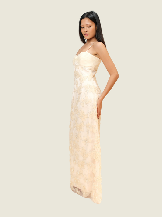 Punchita Embellished Dress