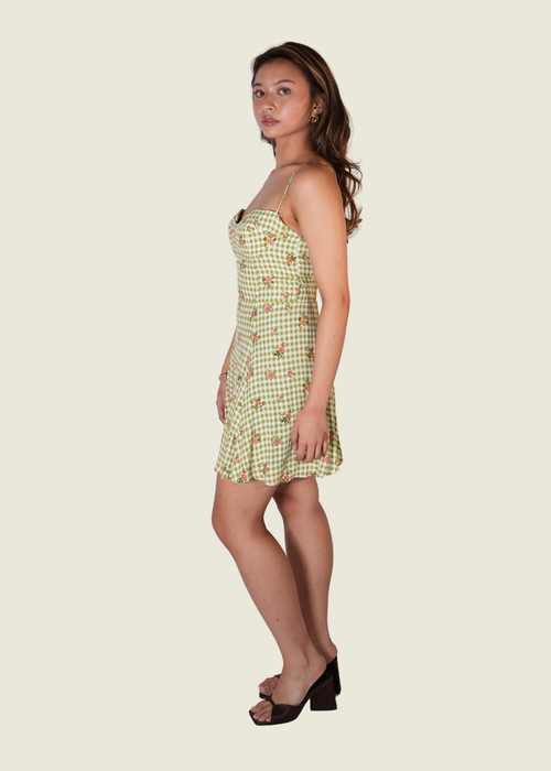 Reformation Roarke Linen Gingham Mini Dress (XS) hover image