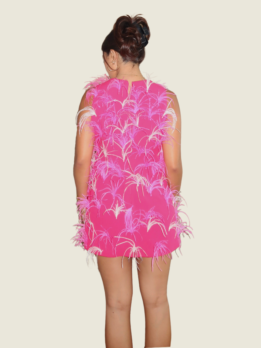 Chynna Mamawal Pink Feather Mini Dress