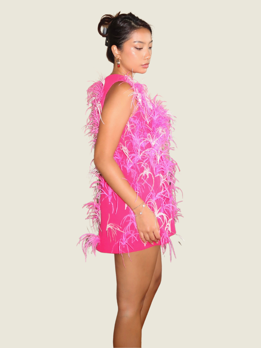 Chynna Mamawal Pink Feather Mini Dress