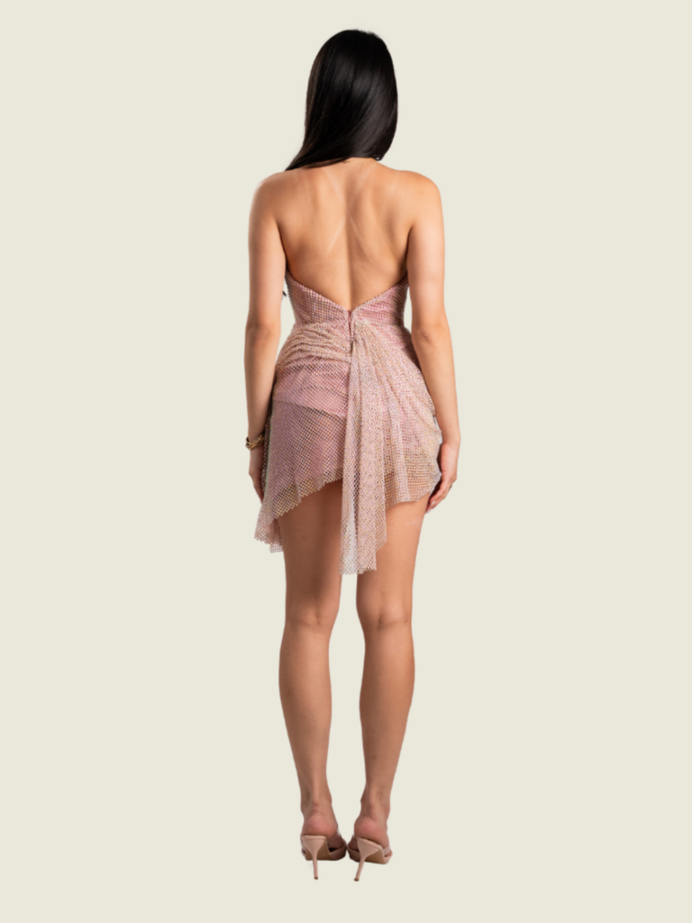 Noel Crisostomo Custom Pink and Silver Mini Dress