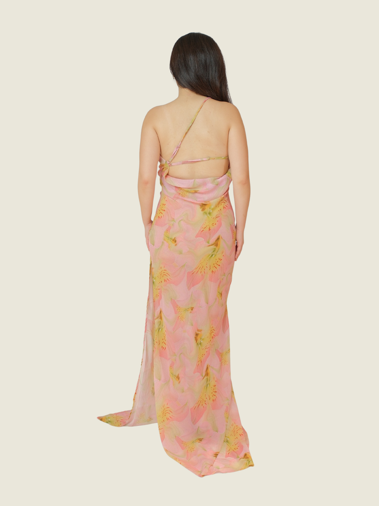 HNTR The Label Flow Maxi Amazon