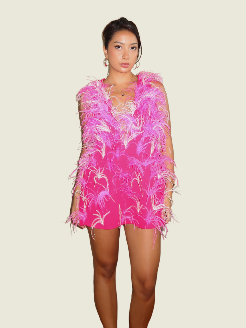 Chynna Mamawal Pink Feather Mini Dress