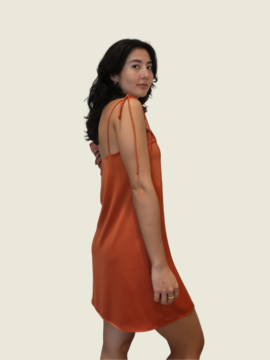 Pamela Ng Orange Dress