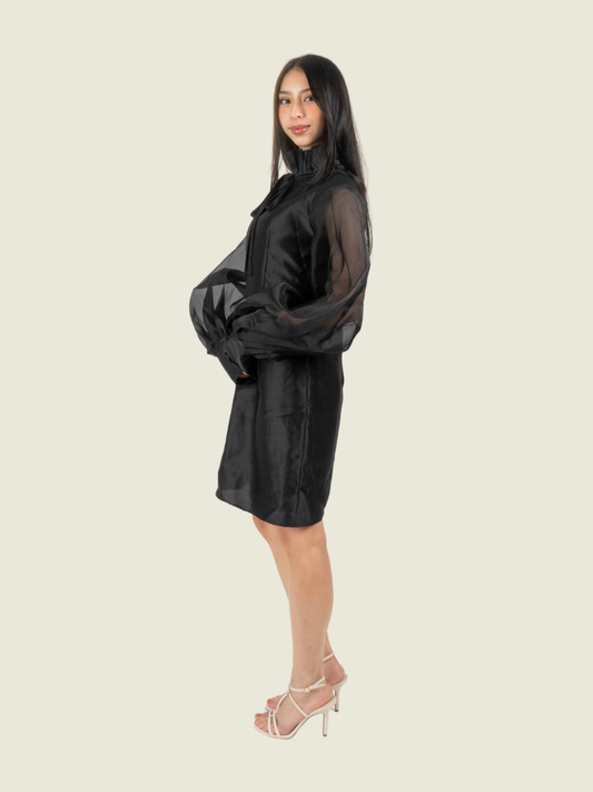 Chris Nick Black High Neck Long Sleeve Mini Dress