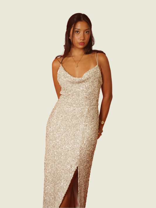 Ever New Silver Sequin Dress