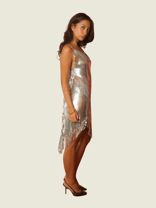 H&M Silver Fringe Top and Skirt