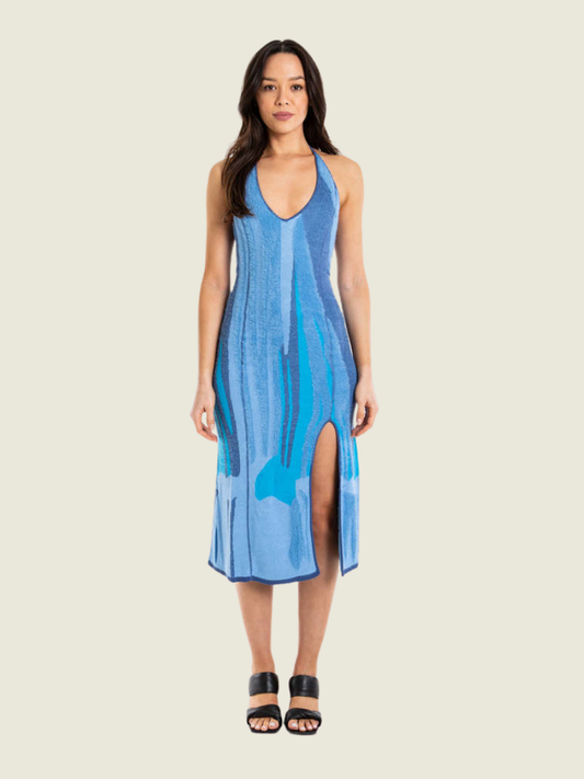 House of Sunny the Ice Skater Dress