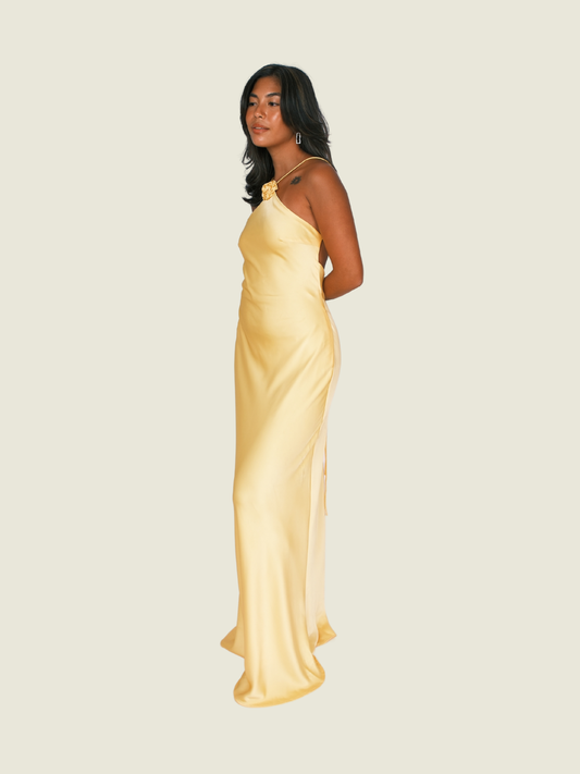 Maven Neriss Maxi Dress