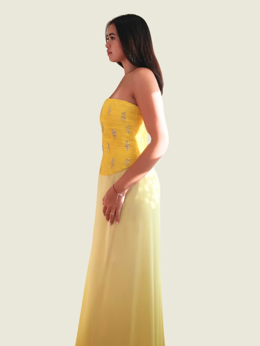 Rajo Laurel Custom Yellow Gown