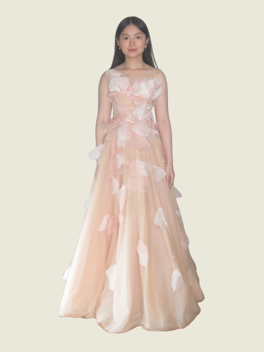 Vee Tan Custom Pastel Pink Ball Gown