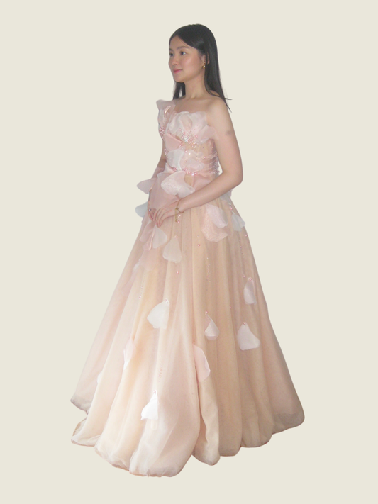 Vee Tan Custom Pastel Pink Ball Gown
