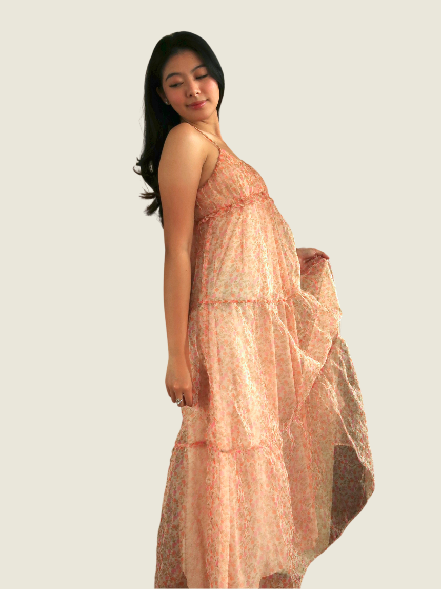 Zara Peach Organza Dress